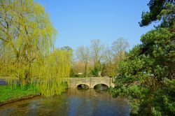 Salice e ponte in pietra a Bibury, Inghilterra - Un suggestivo angolo bucolico di questo borgo anglosassone che vanta una storia molto antica. Qui il tempo sembra non essersi fermato mai e se ...