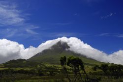 Seconda maggior isola delle Azzorre, Pico ha una superficie di poco meno di 450 chilometri quadrati e forma allungata. Dista circa 6 km dall'isola più vicina - Faial - ed è ...