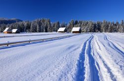 Sci di fondo a Zakopane in Popolonia sui Monti Tatra