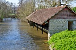 Scorcio bucolico nel villaggio di Giverny, Francia, con un tratto del torrente - © Pack-Shot / Shutterstock.com