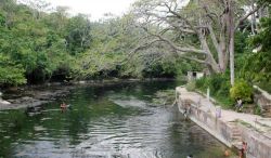 Uno scorcio del fiume Ariguanabo nei pressi di San Antonio de los Baños, Cuba. Fondata dalla corona spagnola, questa ridente cittadina a sud dell'Avana si affaccia sul rio Ariguanabo.
 ...