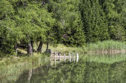 Uno scorcio del lago di Tret, Ronzone, Val di Non, Trentino. Attorno al 1920 questo piccolo stagno è stato trasformato in un bacino artificiale a fini turistici grazie alla creazione ...