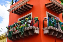 Scorcio di un palazzo con i balconi fioriti nel centro di Monterrey, Messico.
