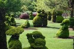 Sculture realizzate nelle siepi a Topiary Park, Columbus, Ohio, USA.
