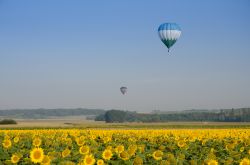 Mongolfiere in volo sui campi di girasole a Brissac-Quincé, nella Loira - © Evgeny Shmulev / Shutterstock.com