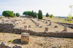 Le rovine dell'antica Aleria romana - l'antica città romana di Aleria divenne, al seguito della prima guerra punica, periodo in cui i romani vi si stabilirono, la più importante ...
