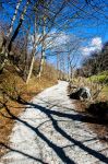 Sentiero di montagna a Barzio in Lombardia