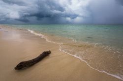 Tronco d'albero sulla spiaggia di Flic en Flac durante una tempesta, isola di Mauritius - Il cielo grigio e nuvoloso non rende meno incantevole questo lembo di terra circondato dall'oceano ...