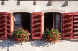Il particolare di due finestre con gerani nel borgo di Barr in Francia - © Claudio Giovanni Colombo / Shutterstock.com