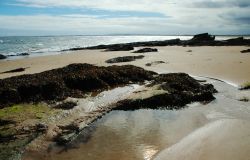 Il litorale di Dornoch fotografato con la bassa marea, Scozia. 



