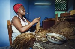 Pinar del Rio, Cuba: una torcedora intenta ad arrotolare le foglie di tabacco per produrre sigari. I migliori sigari cubani - e del mondo - vengono prodotti nella provincia di Pinar del Rio ...