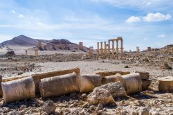 Una colonna abbandonata, siamo nel sito archeologico di Palmira, in Siria - © Anton_Ivanov / Shutterstock.com