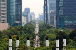 La skyline di Città del Messico lungo il Paseo de la Reforma, viisto dal castello di Chapultepec. Al centro si distingue la colonna del Monumento a la Independencia, comunemente detto ...