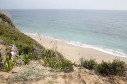 Un tratto della spiaggia di Canos de Meca nei pressi di Cadice, Andalusia, Spagna. E' un esempio della bellezza naturale e selvaggia della Costa della Luce di Cadice ancora non contaminata ...