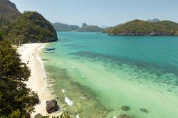 Spiaggia con palme da cocco sull'isola di Wua Ta Lap all'Ang Thong National Park, sud della Thailandia.
