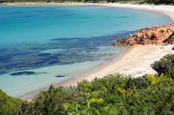 Il mare cristallino di Capo Coda Cavallo, un paradiso naturale a pochi chilometri dalla Costa Smeralda - la penisola di Capo Coda Cavallo, situata di fronte alla bella isola di Tavolara, è ...