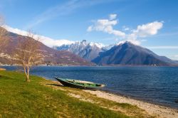 Un tratto della spiaggia di Domaso, nei dintorni di Gravedona, Lombardia. Questa bella località turistica si affaccia sul Lago di Como  - © Mor65_Mauro Piccardi / Shutterstock.com ...