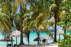 La spiaggia di Varadero (Cuba) lambita dal mare turchese e protetta dalle palme che offrono un'ombra naturale ai bagnanti.