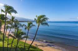 Spiaggia e palme fotografate la mattina a Sugar Beach, Kihei, Hawaii.
