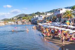 Spiaggia in estate a Lacco Ameno, costa nord di Ischia - © Eugene Sergeev / Shutterstock.com 