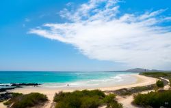 Una spiaggia dell'isola di Isabela, alle Galapagos. E' l'isola più vasta di tutto l'arcipelago delle Ecuador, che si è formata per l'unione di 6 distinti apparati ...