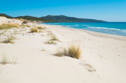 Spiaggia le Dune a Porto Pino, comune di Sant'Anna Arresi, in Sardegna