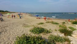 La bella spiaggia libera di Casalborsetti (Ravenna), vista dall'estremità meridionale.