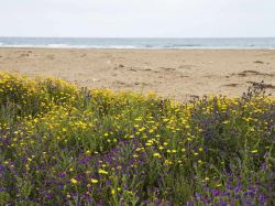 Spiaggia nei dintorni di Pachino in Sicilia - © doki / Shutterstock.com