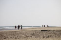 Distesa di sabbia a Morro Jable, spiaggia di Fuerteventura (Spagna) - Qui l'acqua si presenta tranquilla, i venti non la disturbano nel suo flusso di quiete che, in ore diverse del giorno, ...