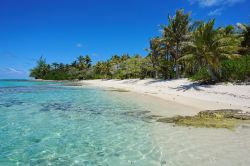 Spiaggia tropicale sulla costa di Huahine con palme da cocco, Oceano Pacifico (Polinesia Francese).

