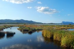 Il trionfo della natura nella laguna di San Teodoro, Sardegna - lo stagno di San Teodoro è un vero e proprio tesoro naturale, grande vanto della Gallura e più in generale della ...