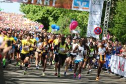 Start della mezza maratona di Heilbronn, Germania. E' conosciuta come Trollinger Marathon: si svolge nel mese di maggio o giugno ed è una delle più importanti della Germania ...