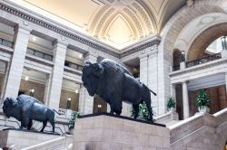 Statue di bisonti all'ingresso del palazzo legislativo di Manitoba, Winnipeg (Canada) - © SBshot87 / Shutterstock.com