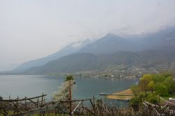 La Strada del Vino tra Appiano e Termeno sul lago di Caldaro