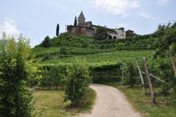 La Sudtiroler Weinstrasse nei pressi di Termeno sulla Strada del VIno in Alto Adige