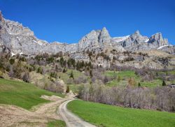 Una strada di campagna vicino al villaggio di Leukerbad all'inizio della primavera, Svizzera.



