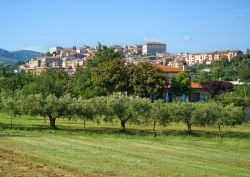 Strada nei castelli Romani: il borgo di Velletri nel Lazio