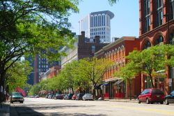 Street view del centro storico di Cleveland, Ohio, USA: un viale alberato con edifici e palazzi residenziali.

