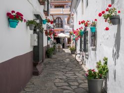 Street view del centro storico di Estepona, Spagna. Le case affacciate sono abbellite da vasi di gerani rossi e fucsia - © Philip Bird LRPS CPAGB / Shutterstock.com