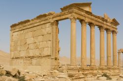 La visita al sito archeologico di Palmira - © Michal Szymanski / Shutterstock.com 