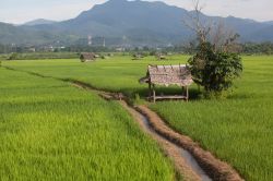 Tipiche costruzioni in legno e fogliame nei dintorni di Mae Sariang, Thailandia.

