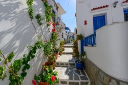 Tipico vicolo con bouganville a Kythnos, Grecia. Una delle caratteristiche viuzze di questa graziosa isola greca situata a un centinaio di chilometri dal Pireo - © Michael Paschos / Shutterstock.com ...