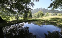 Tonezza del Cimone, Veneto: veduta di un paesaggio agreste con il monte Spitz e i riflessi degli alberi in uno stagno alpino.

