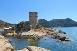 Torre del Campese, si trova all'imboccatura del porto ergendosi su di un gruppo di scogli sulla costa occidentale dell'Isola del GIglio - © trotalo / Shutterstock.com 