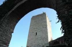 Torre del Castello Visconteo a Trezzo sull'Adda - le rovine dell'antica fortezza di Trezzo sull'Adda sono visitabili tutto l'anno tramite i tour organizzati dalla proloco, che ...