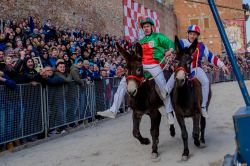 Torrita di Siena, Toscana: il  Palio dei Somari nel centro storico del borgo vicino a Siena - © Stefano Mazzola / Shutterstock.com