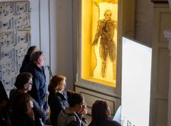 Tour nella Napoli Dark: le macchine anatomiche della Cappella San Severo, Campania - © Juraj Kamenicky / Shutterstock.com