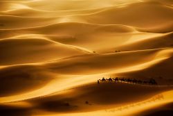 Tour sui cammelli da Merzouga nel deserto del Sahara, tra le dune dell'Erg Chebbi