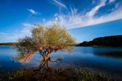 Tra i laghi più belli della Calabria troviamo quello di Cecita, sulla Sila