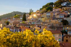 Tramonto sul borgo di Bormes-les-Mimosas (Francia) con le sue piante di mimosa fiorite.


